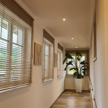 Vive Diem Apartamento Haus im Ennstal