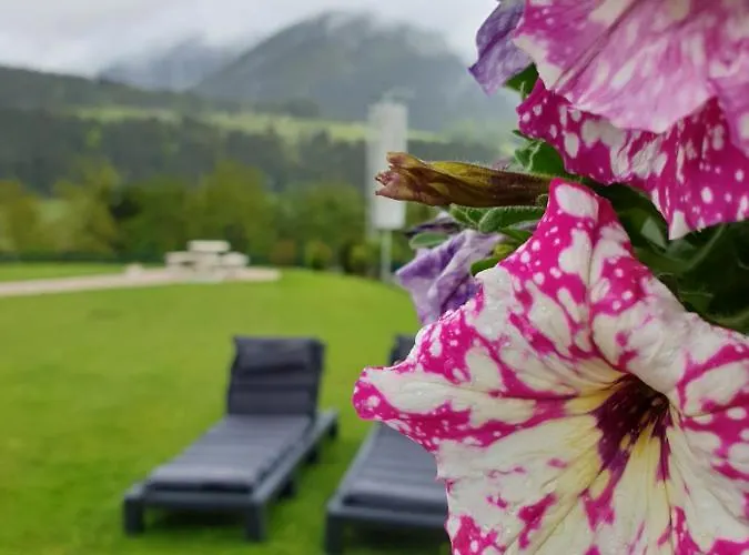 Apartamento Vive Diem