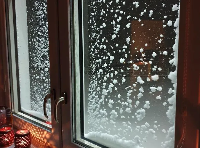 Vive Diem * האוס