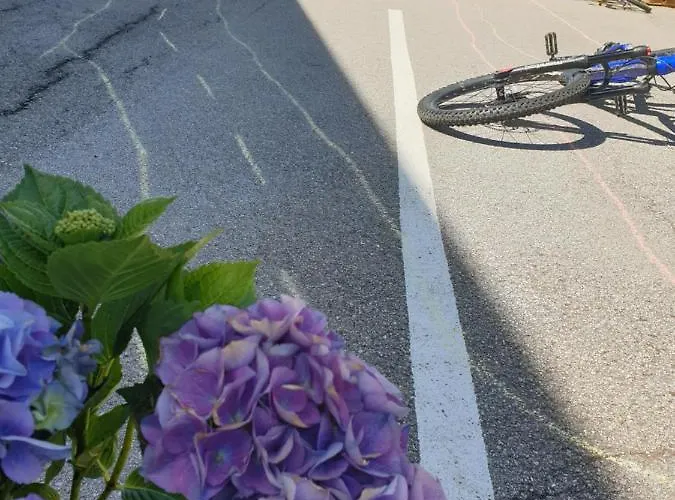 Apartman Vive Diem Haus im Ennstal