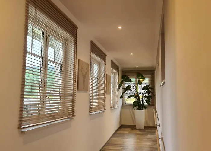 Vive Diem Apartman Haus im Ennstal